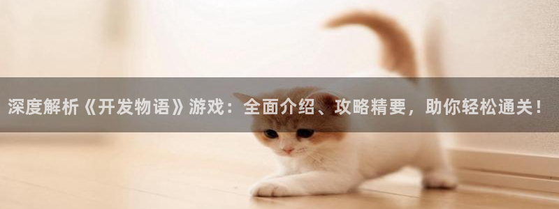 深度解析《开发物语》游戏：全面介绍、攻略