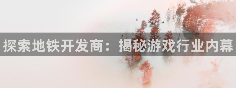 探索地铁开发商：揭秘游戏行业内幕