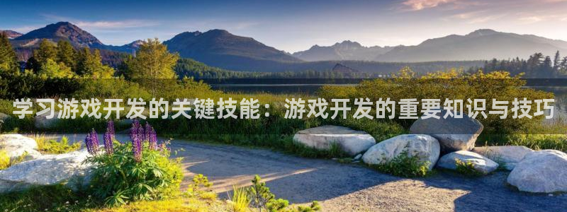 学习游戏开发的关键技能：游戏开发的重要知