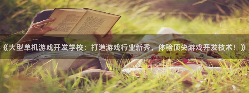沐鸣平台负责人是谁：《大型单机游戏开发学