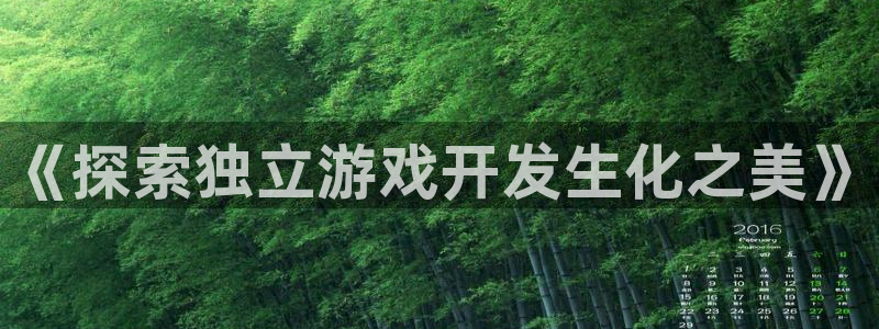 沐鸣4招商：《探索独立游戏开发生化之美》