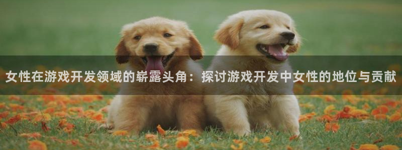 沐鸣科技做的游戏：女性在游戏开发领域的崭