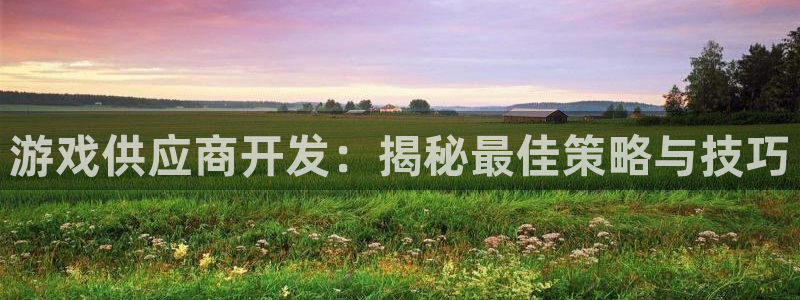沐鸣平台登录：游戏供应商开发：揭秘最佳策