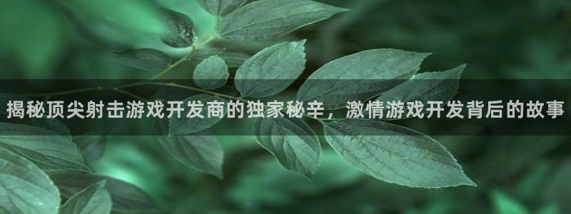 沐鸣3注册登录：揭秘顶尖射击游戏开发商的
