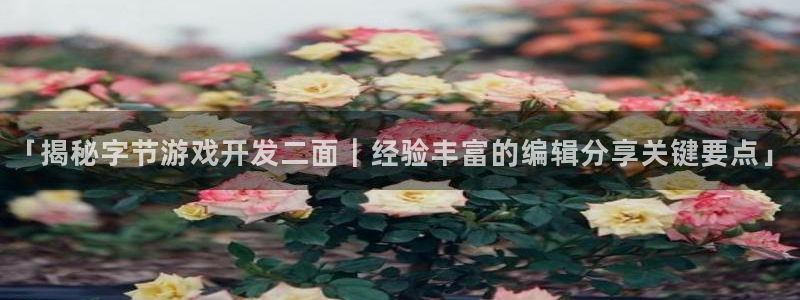 沐鸣娱乐客服：「揭秘字节游戏开发二面｜经