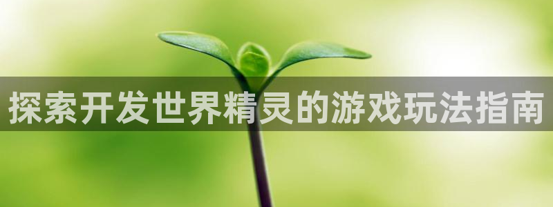 沐鸣平台代理：探索开发世界精灵的游戏玩法