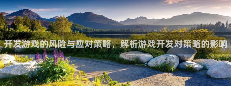 沐鸣娱乐平台大不大呀：开发游戏的风险与应