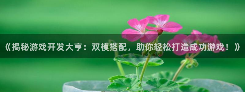 沐鸣科技有限公司地址：《揭秘游戏开发大亨