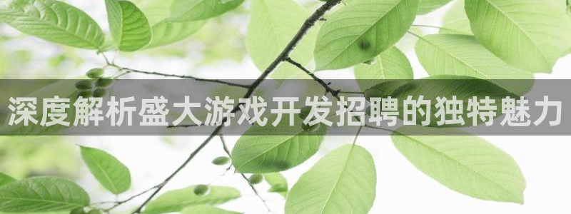 沐鸣娱乐怎么注册会员：深度解析盛大游戏开