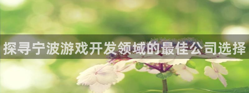 沐鸣平台168：探寻宁波游戏开发领域的最