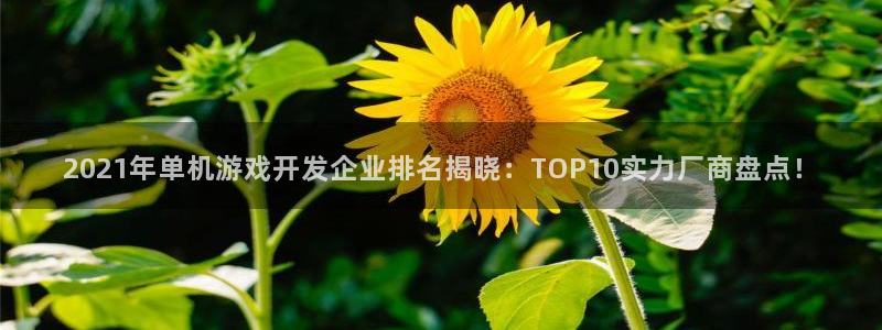 沐鸣1在线登陆：2021年单机游戏开发企