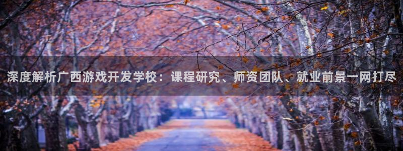 沐鸣注册注册：深度解析广西游戏开发学校：