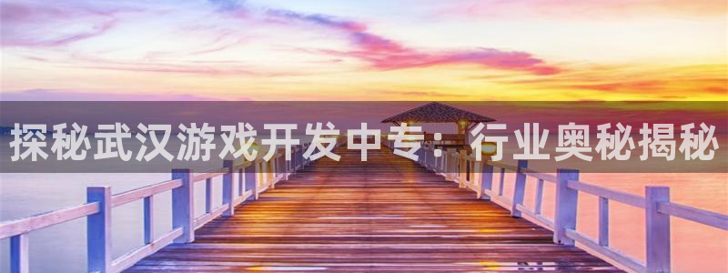 沐鸣平台总代理是谁：探秘武汉游戏开发中专