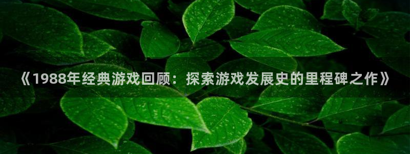 沐鸣注册：《1988年经典游戏回顾：探索