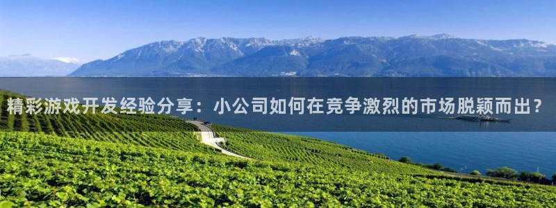 沐鸣登陆入口：精彩游戏开发经验分享：小公