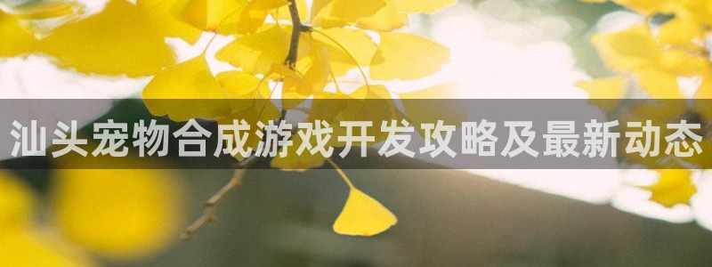 沐鸣4代理：汕头宠物合成游戏开发攻略及最