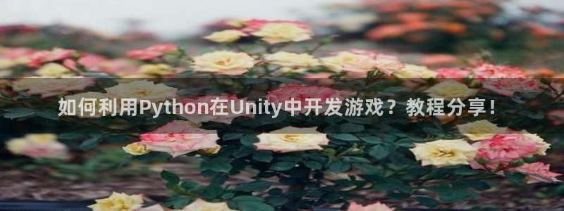 沐鸣1平台招商：如何利用Python在U
