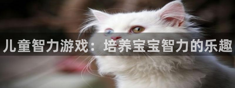 沐鸣注册网站：儿童智力游戏：培养宝宝智力