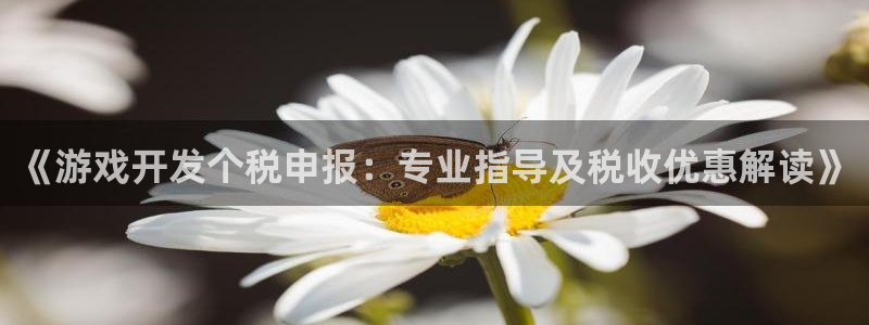 沐鸣娱乐合法吗：《游戏开发个税申报：专业