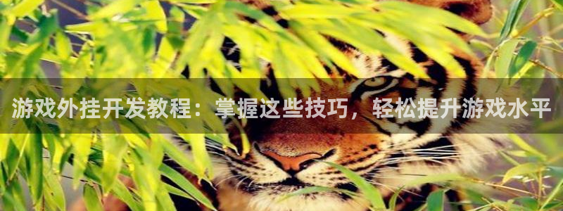 沐鸣科技和沐瞳科技哪个好：游戏外挂开发教