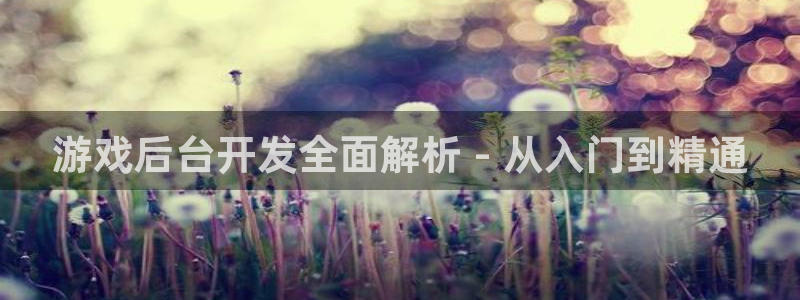 沐鸣娱乐平台登录入口下载：游戏后台开发全
