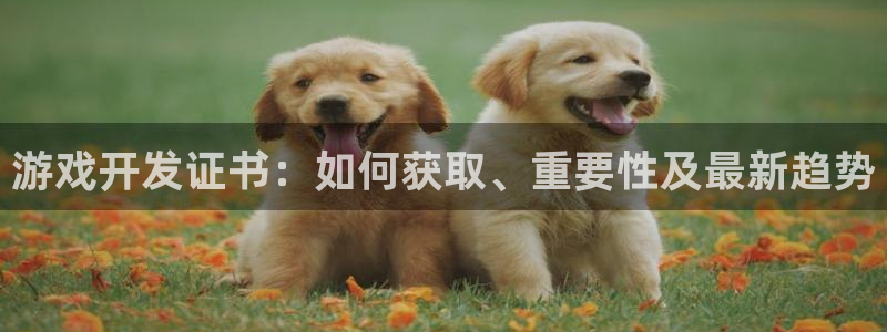 沐鸣娱乐代理在线注册链接：游戏开发证书：