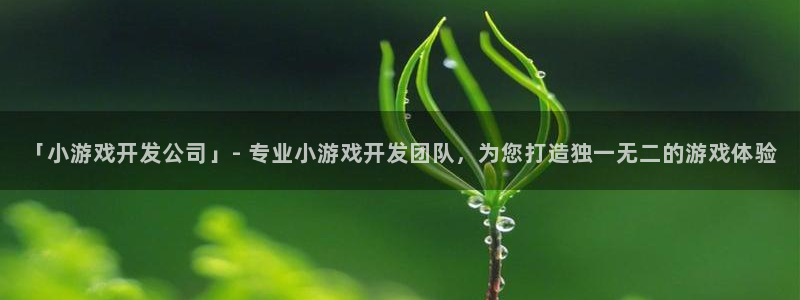 沐鸣4招商：「小游戏开发公司」- 专业小