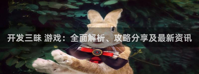 沐鸣科技做的游戏叫什么：开发三昧 游戏：