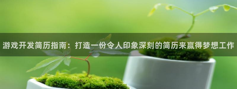 沐鸣注册会员中心：游戏开发简历指南：打造