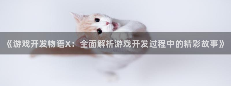 沐鸣娱乐平台怎么样可靠吗：《游戏开发物语