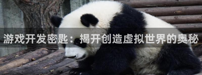沐鸣娱乐官网