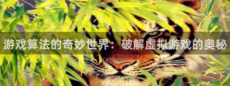 沐鸣科技游戏app