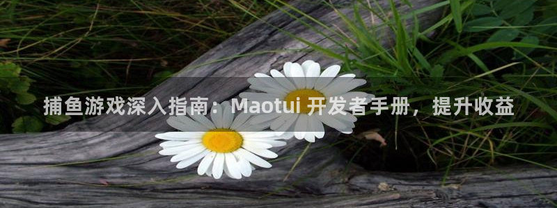 沐鸣娱乐ⅱ