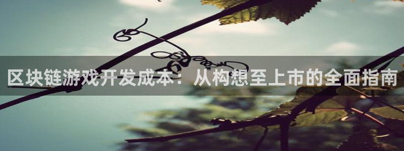 沐鸣咨询