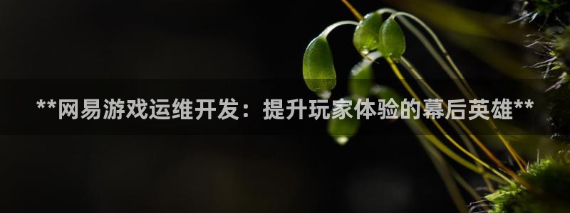 沐鸣娱乐招商