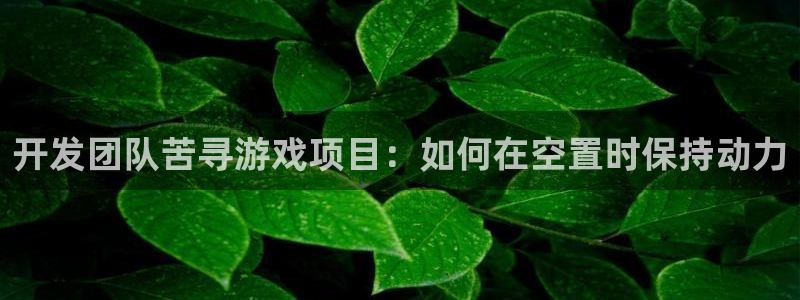 沐鸣平台官方网站：开发团队苦寻游戏项目：