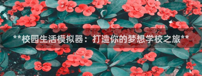 沐鸣娱乐为什么上不去了：**校园生活模拟