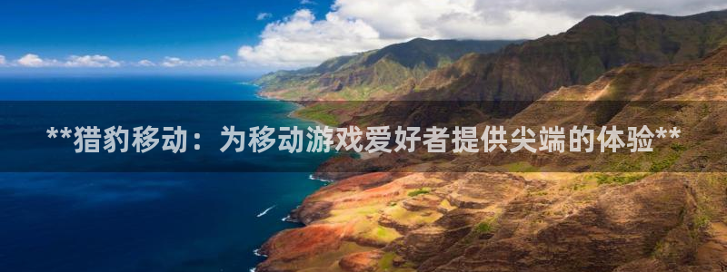 沐鸣在线登录：**猎豹移动：为移动游戏爱