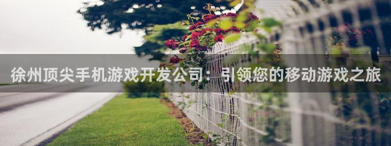 沐鸣平台总代理电话号码：徐州顶尖手机游戏