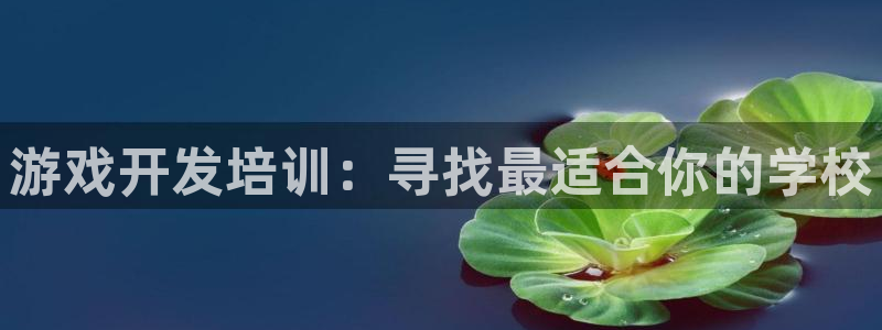 沐鸣娱乐官方平台下载：游戏开发培训：寻找