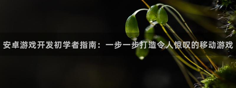 沐鸣4主管：安卓游戏开发初学者指南：一步