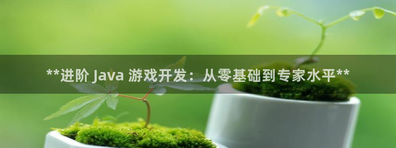 沐鸣娱乐平台大不大呀：**进阶 Java
