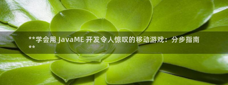 沐鸣3注册代理：**学会用 JavaME