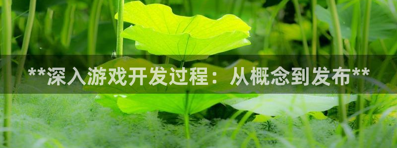 沐鸣平台招商怎么样：**深入游戏开发过程