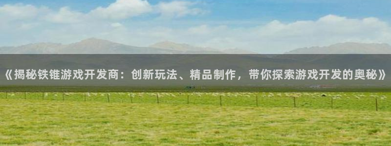沐鸣注册会员中心：《揭秘铁锥游戏开发商：