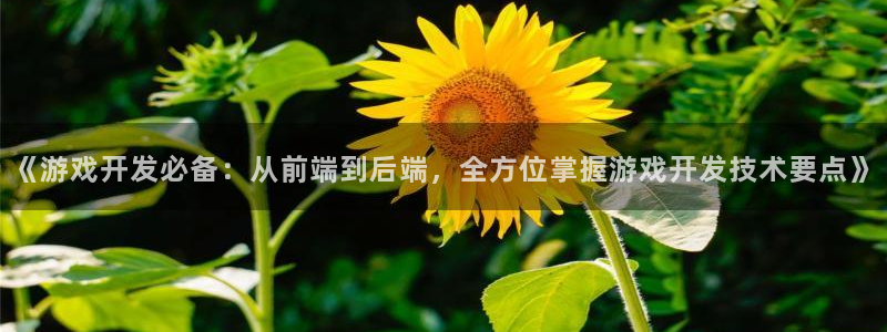 沐鸣游戏~53866