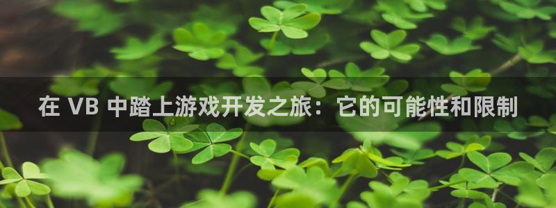 沐鸣1登录：在 VB 中踏上游戏开发之旅