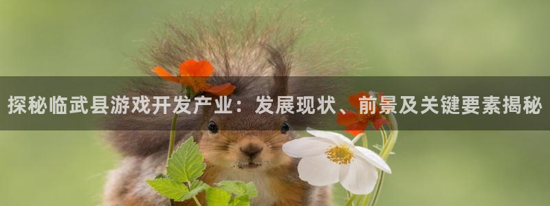 沐鸣平台注册资金多少亿：探秘临武县游戏开