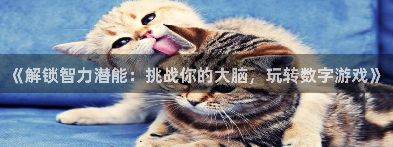 沐鸣注册开户：《解锁智力潜能：挑战你的大