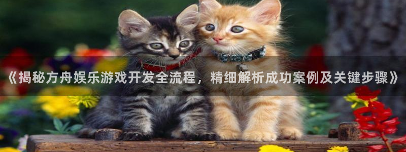 沐鸣注册入口：《揭秘方舟娱乐游戏开发全流